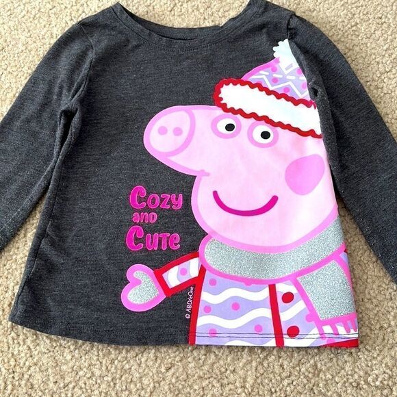 (6) Short and Long Sleeve Shirt Bundle- All 2T - Picture 8 of 13